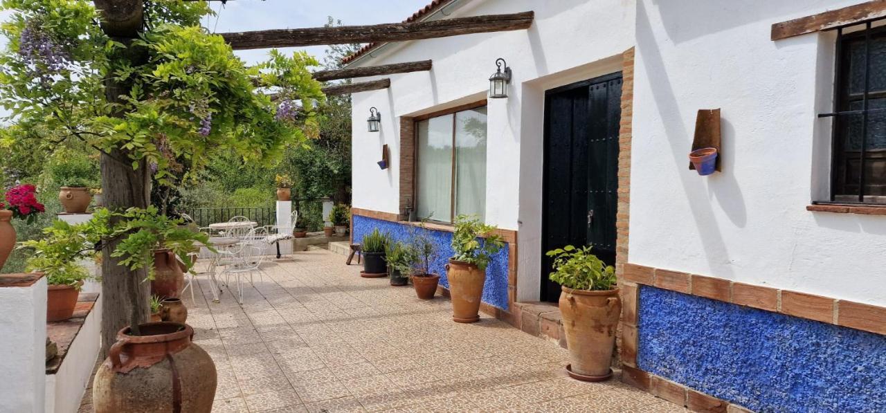 Villa Botero Constantina Exteriör bild